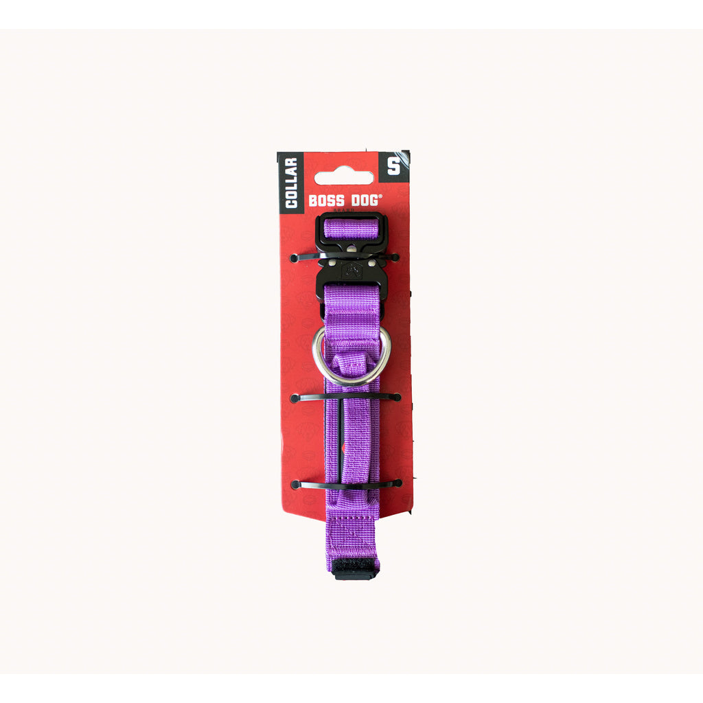 Small Purple Collar Boss Dog (1.2" wide): 13"-16"