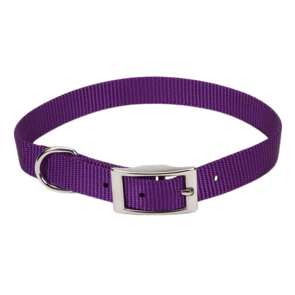 Coastal Pet Products Nylon Dog Collar - Purple, 5/8 in x 12 in