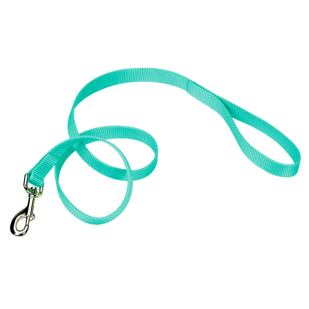 Coastal Single-Ply Dog Leash - Teal, 1 inch x 6 ft