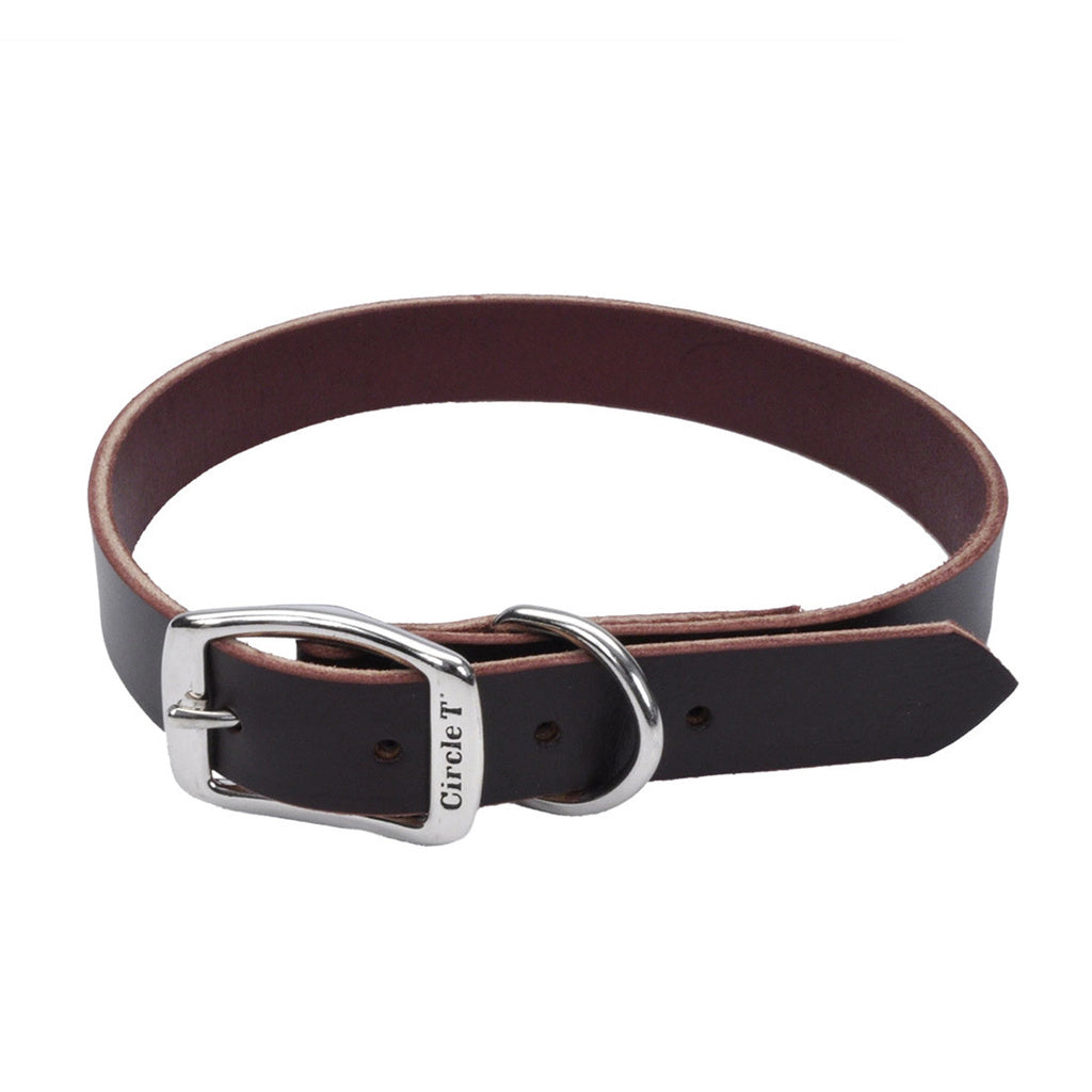 Circle T Latigo Leather Town Dog Collar, 5/8" x 14", Medium, Latigo Leather