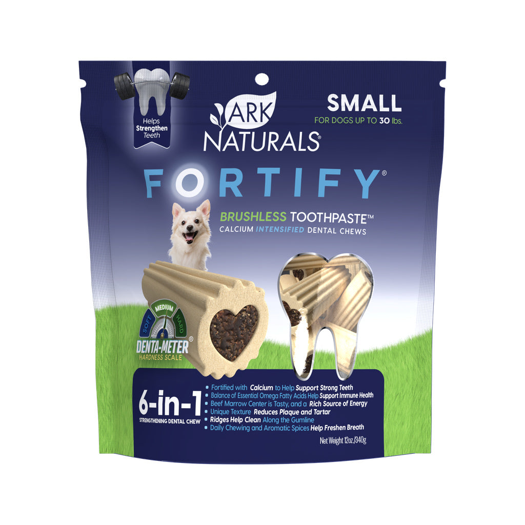 632634490003 Fortify Brushless Toothpaste - Small