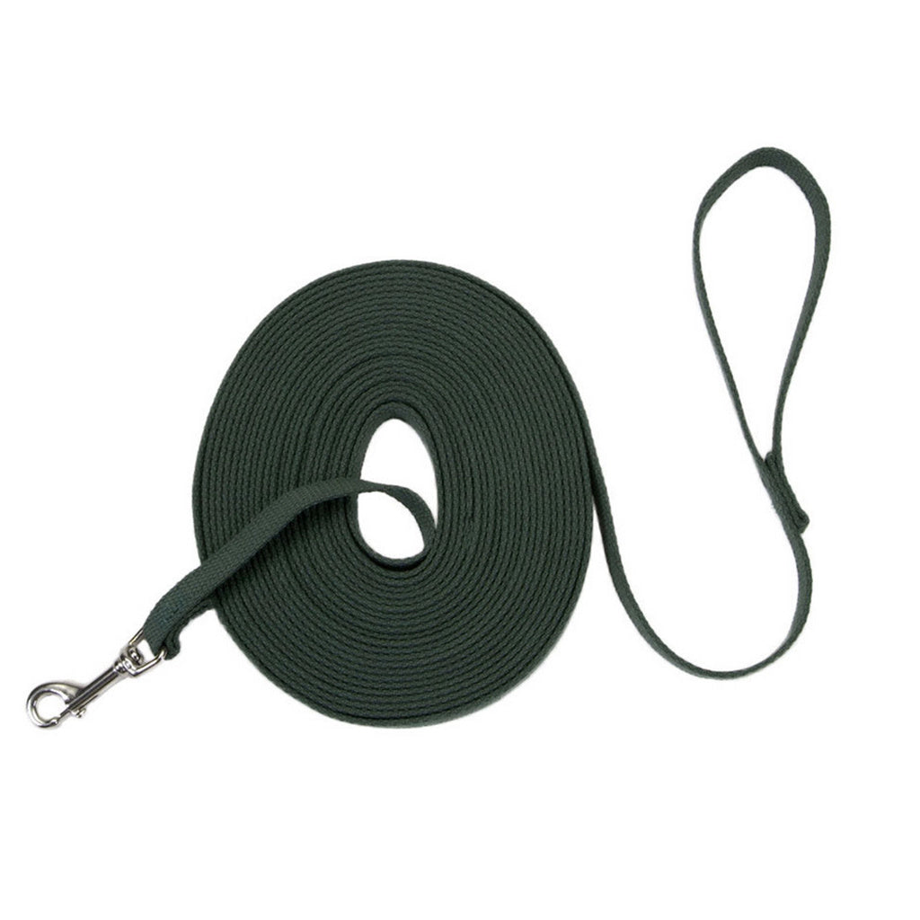 Coastal Train Right Dog Leash - 5/8 in x 15 ft, Green Cotton Web Training Lead