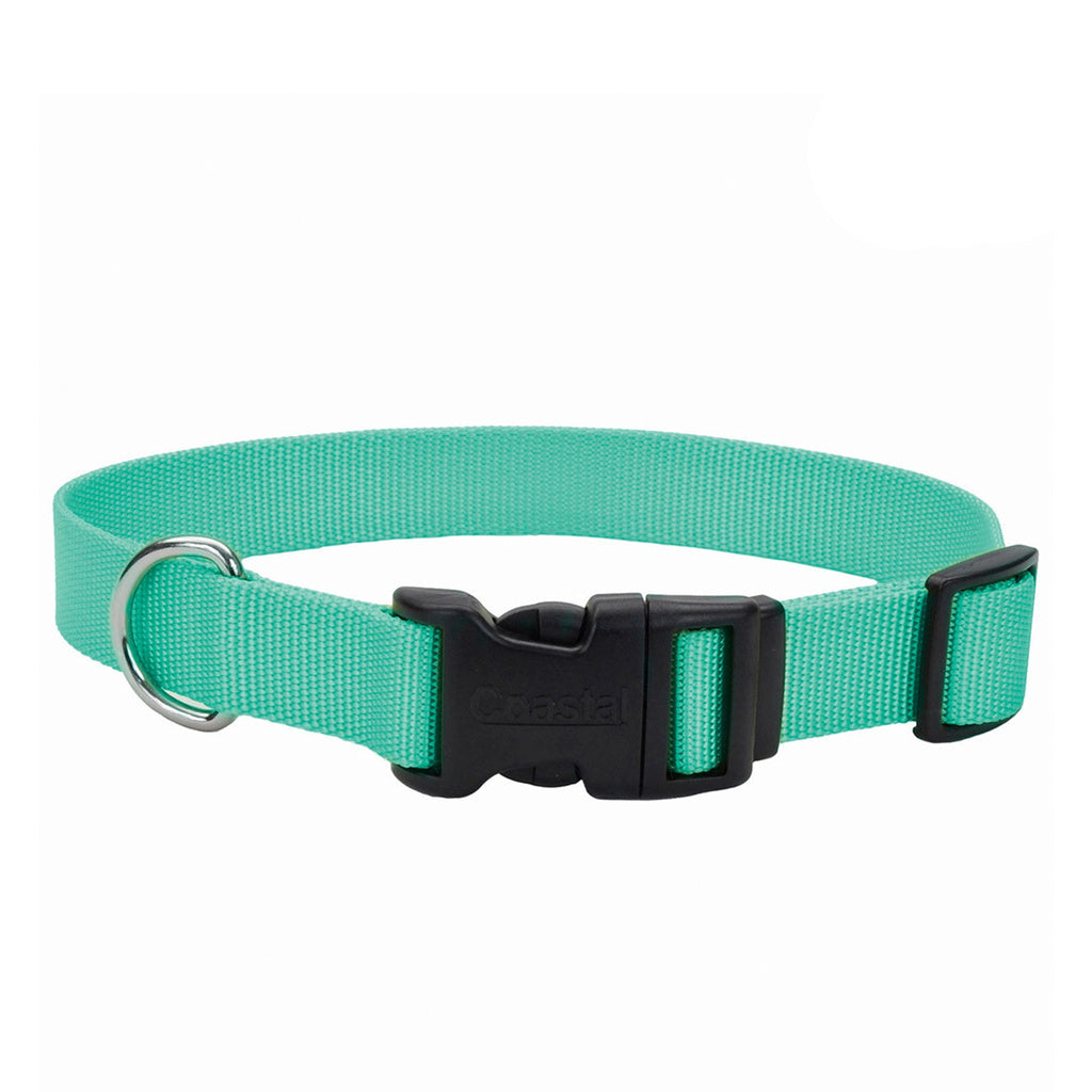 Coastal Pet Tuff Dog Collar - Teal - 3/4 inch x 14-20 inch - Adjustable with Plastic Buckle