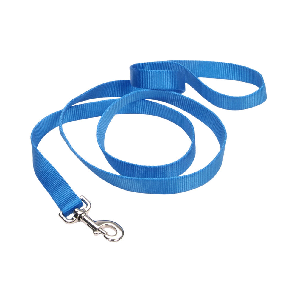 Coastal Single-Ply Dog Leash, Blue Lagoon, 3/4 in x 4 ft
