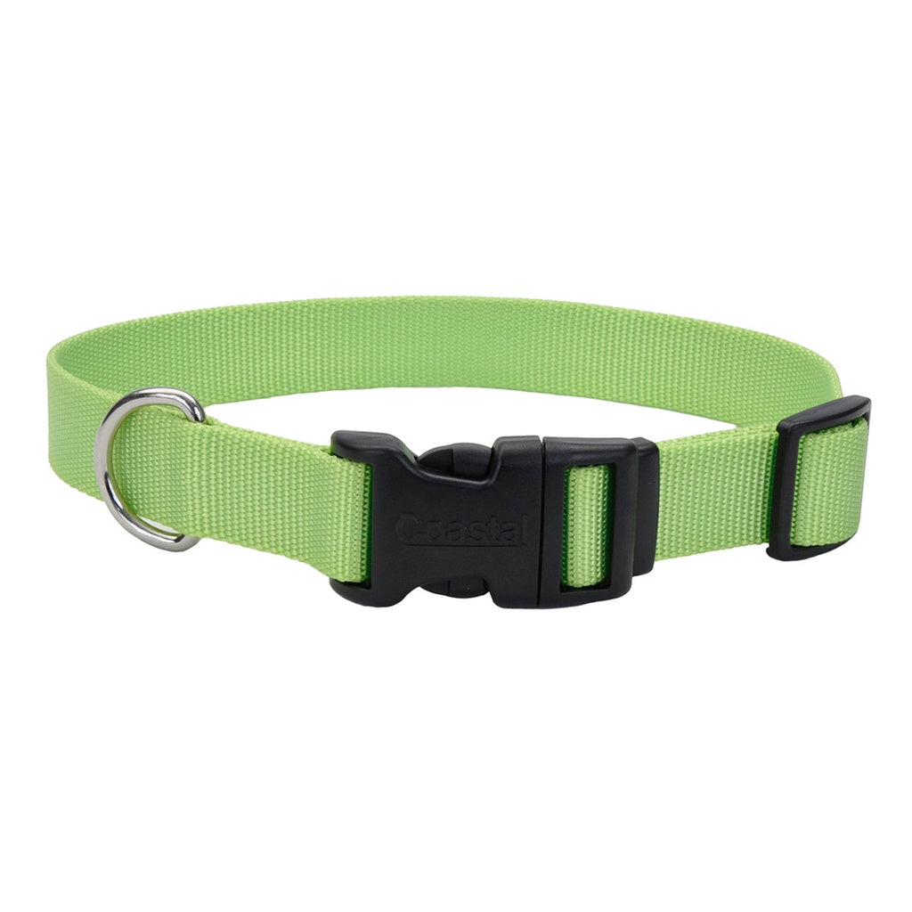 Coastal Pet Pro Waterproof Dog Collar - Lime, 1in Wide, Adjustable (18-26in)