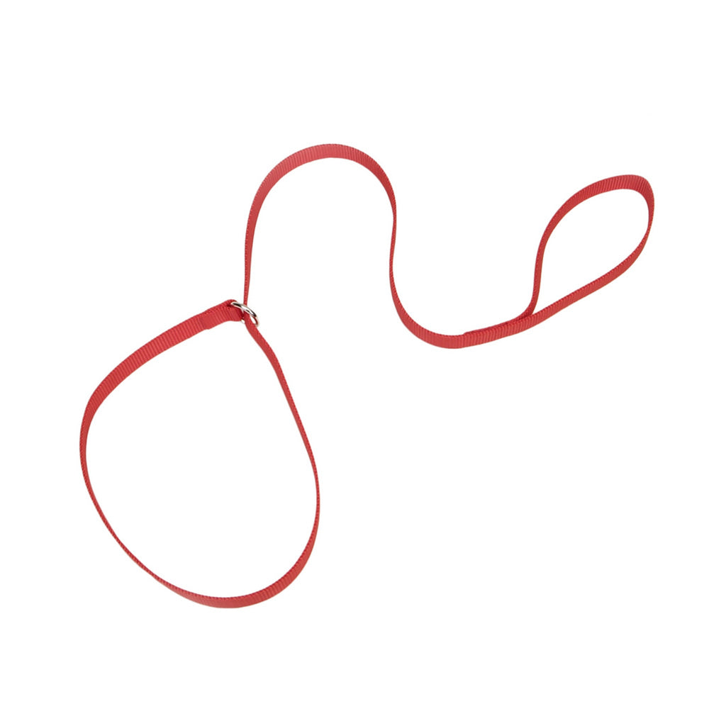 Coastal Kennel Dog Lead - Red - 6' x 5/8"
