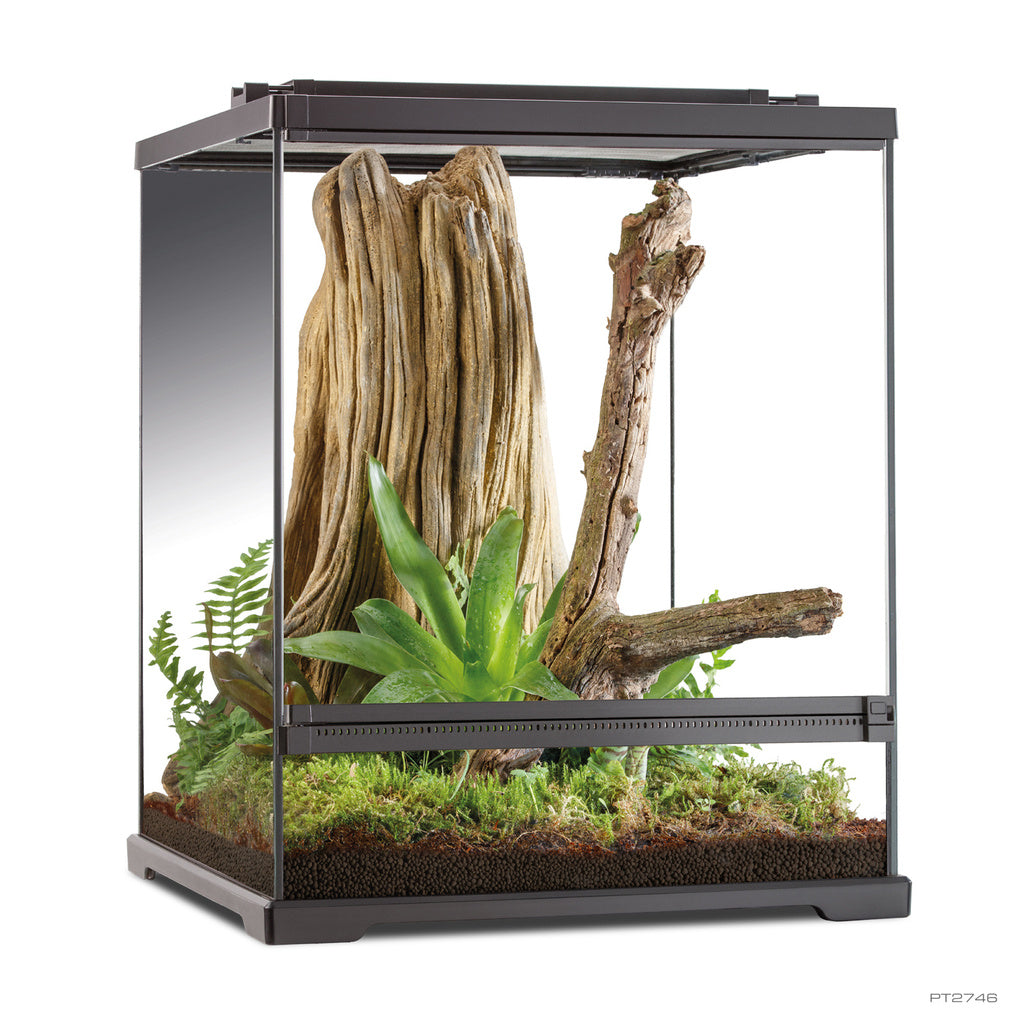 Exo Terra Tree Frog Terrarium - Advanced Amphibian Habitat - 18x18x24" Small/Tall Glass Enclosure