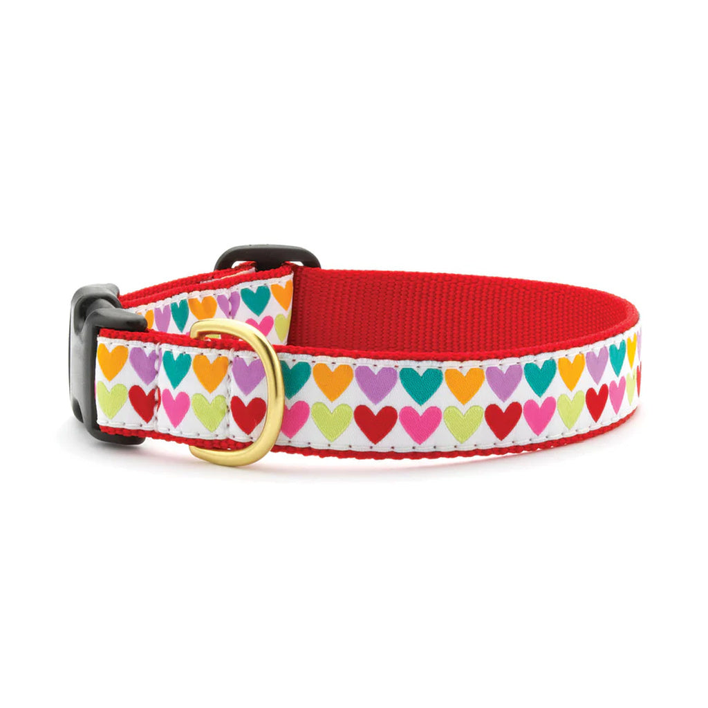 (Teacup, Multicoloured) Up Country Pop Hearts Collar