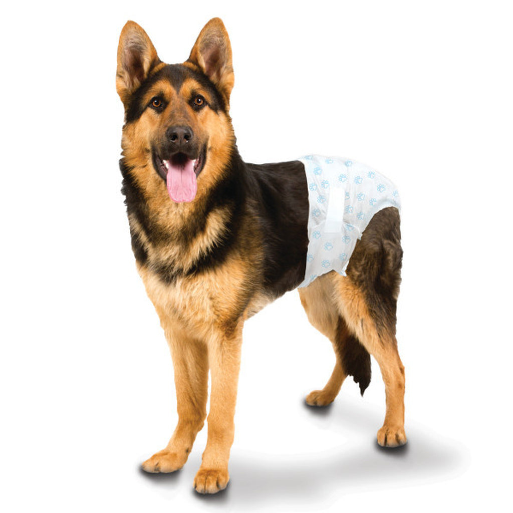 Four Paws Wee Wee Disposable Dog Diapers, Large/X-Large, 12 Count