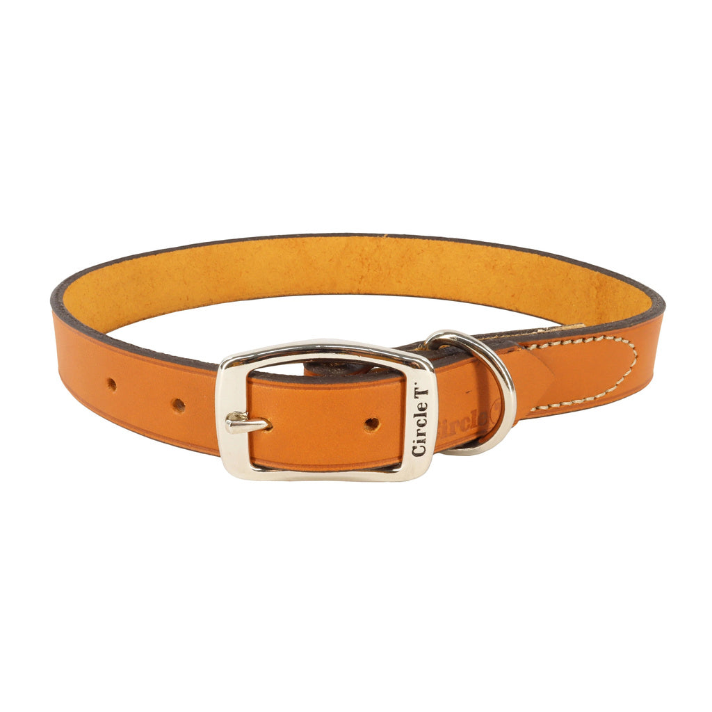 Circle T® Oak Tanned Leather Town Dog Collar, Tan, Large - 1" x 24"
