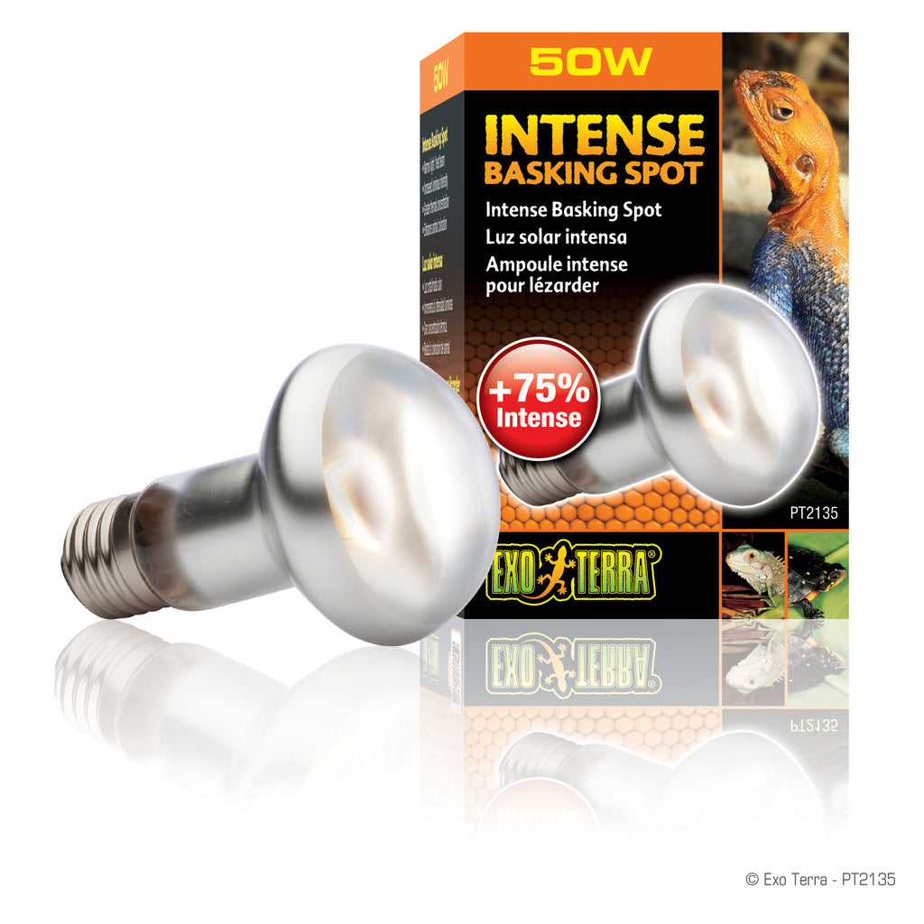 Exo-Terra Sun Glo Tight Beam Basking Spot Lamps - 50 Watts