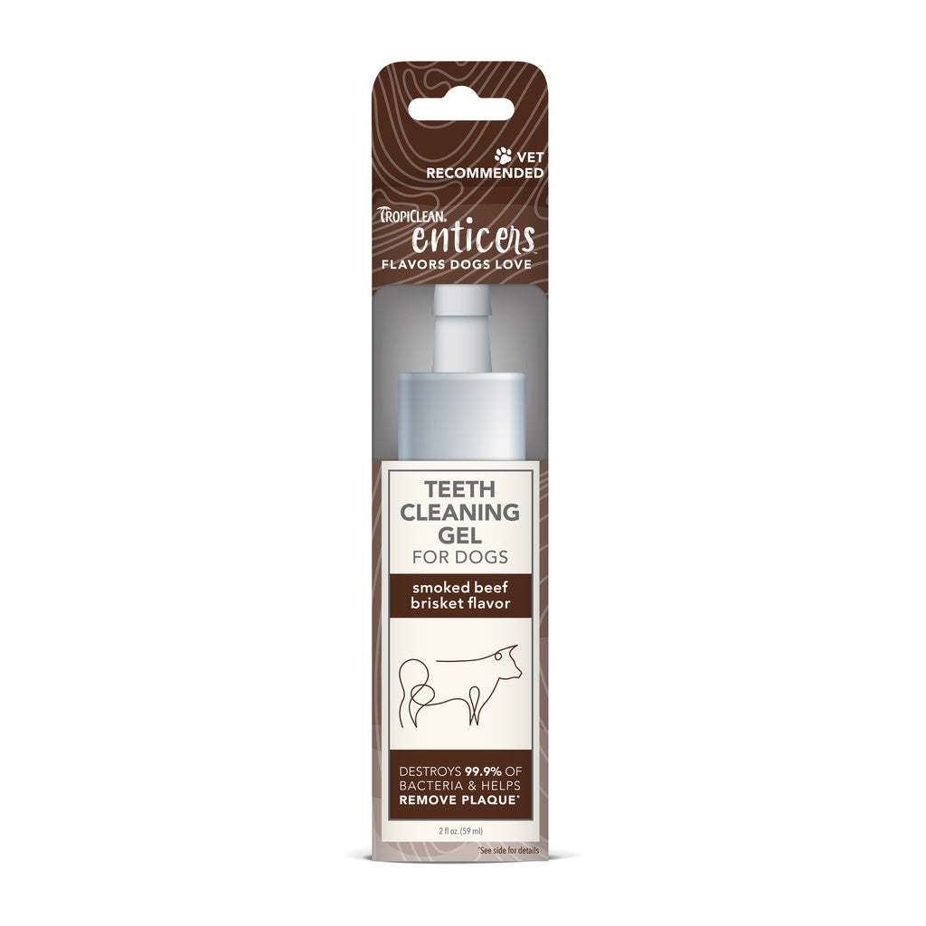 TropiClean Enticers Dog Teeth Cleaning Gel, Smoked Beef Brisket Flavor, 2 oz