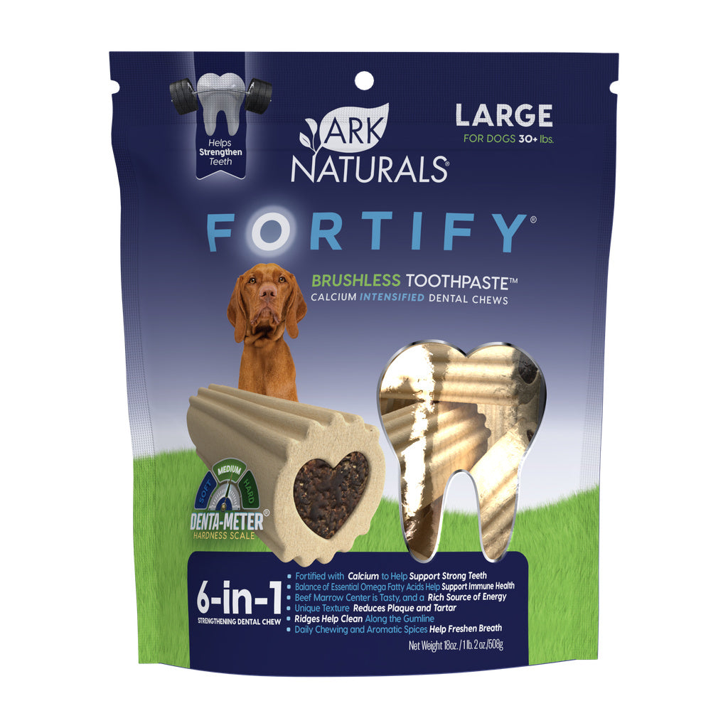 632634490034 Fortify Brushless Toothpaste for Dog - Large