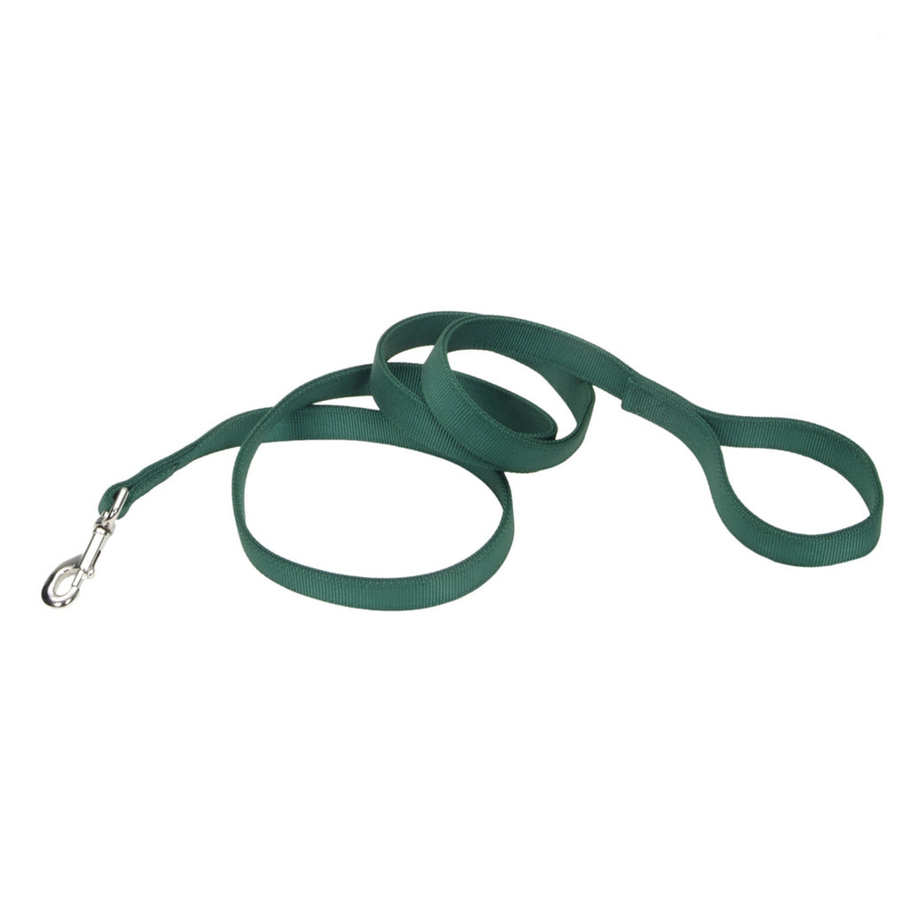 Coastal Pet Double-Ply Nylon Dog Leash, Hunter Green, 1 inch x 4 feet