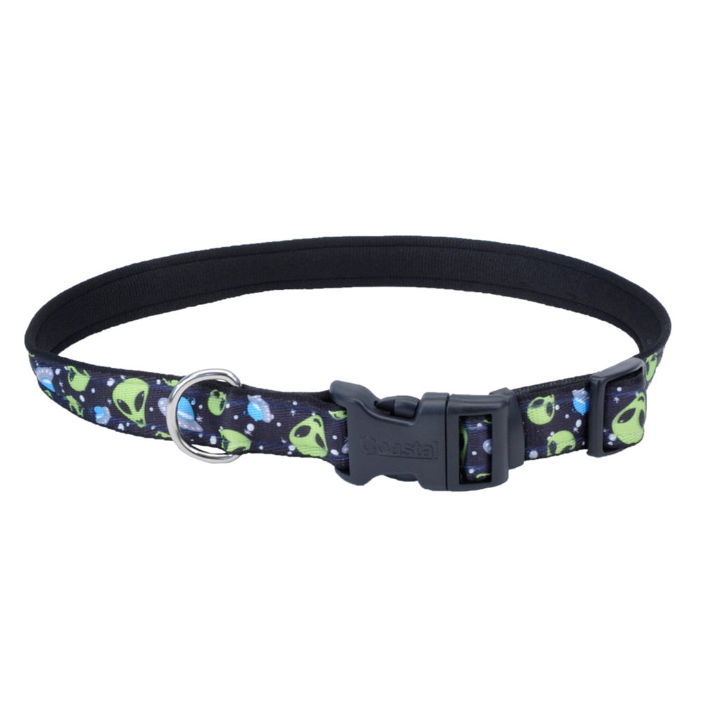 1in Styles Clear Alien Pet ID Tag