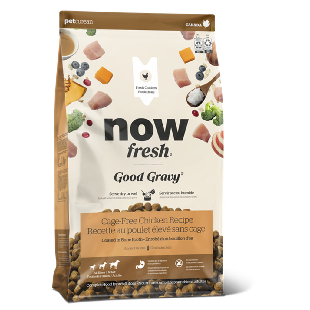 Now Fresh Good Gravy Chicken Dry Dog Food Coated in Bone Broth for Adult Dogs, 3.5-lb bag