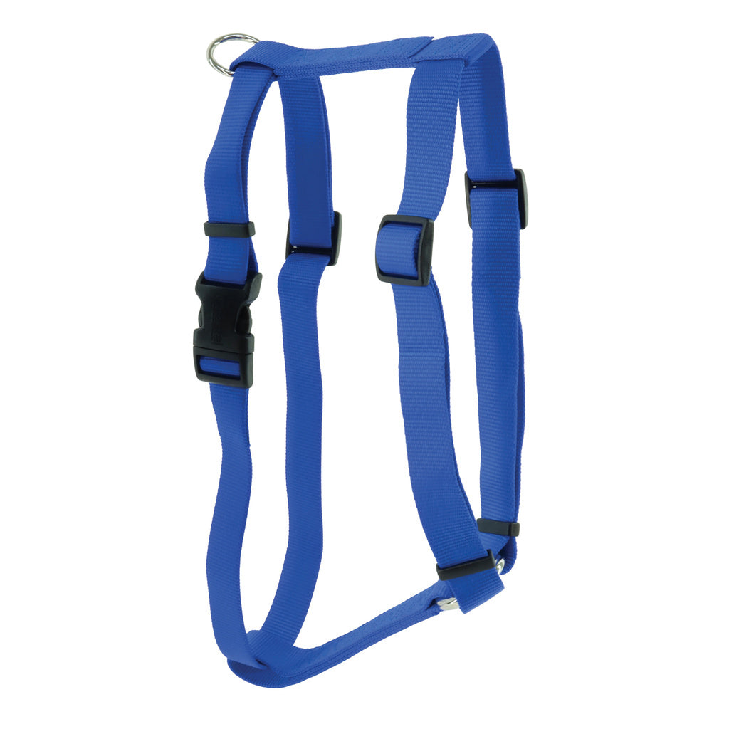 Coastal Style Adjustable Dog Harness, Blue, 1" Wide, Large (22-38" Girth)