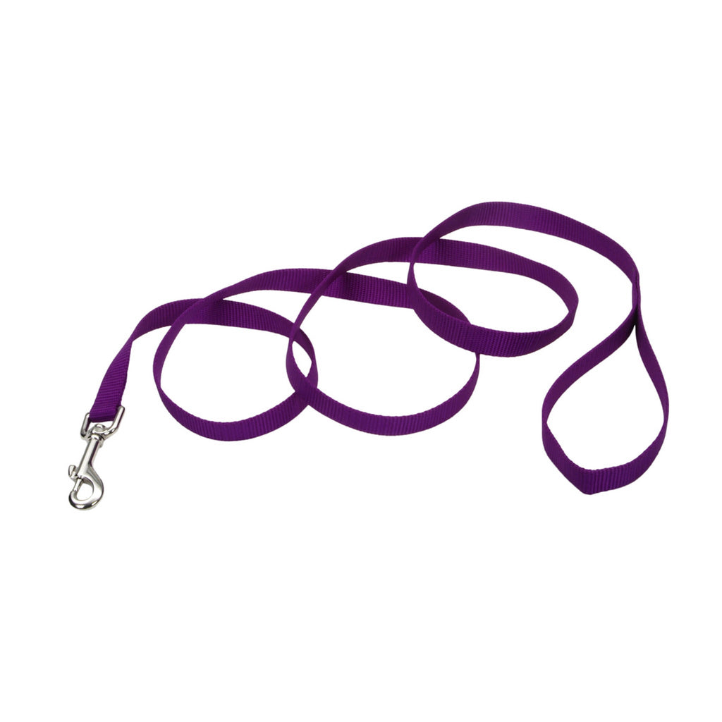 Coastal Single-Ply Nylon Dog Leash, 5/8 in x 6 ft, Purple or Black