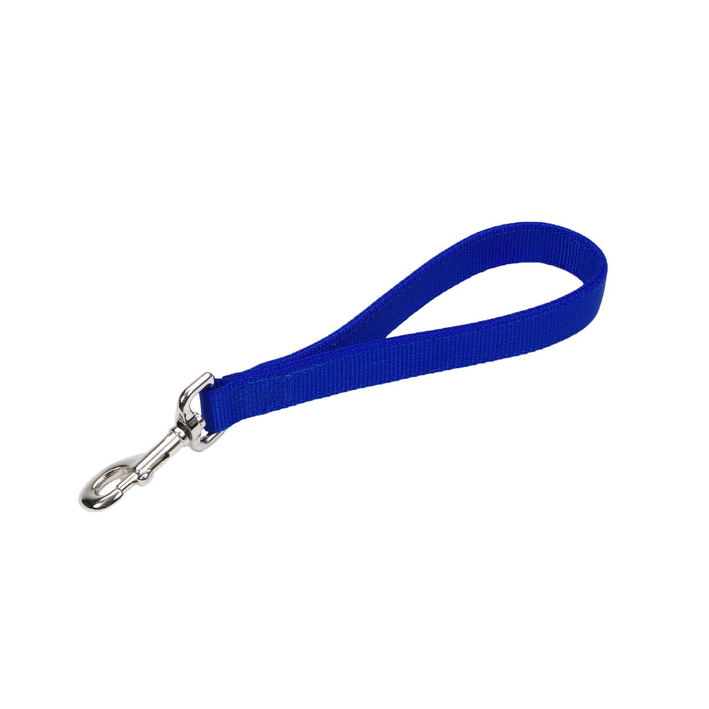 Coastal Pet Products DCP2912BLU Nylon Dog Traffic Leash, Blue, 1 in x 1 ft