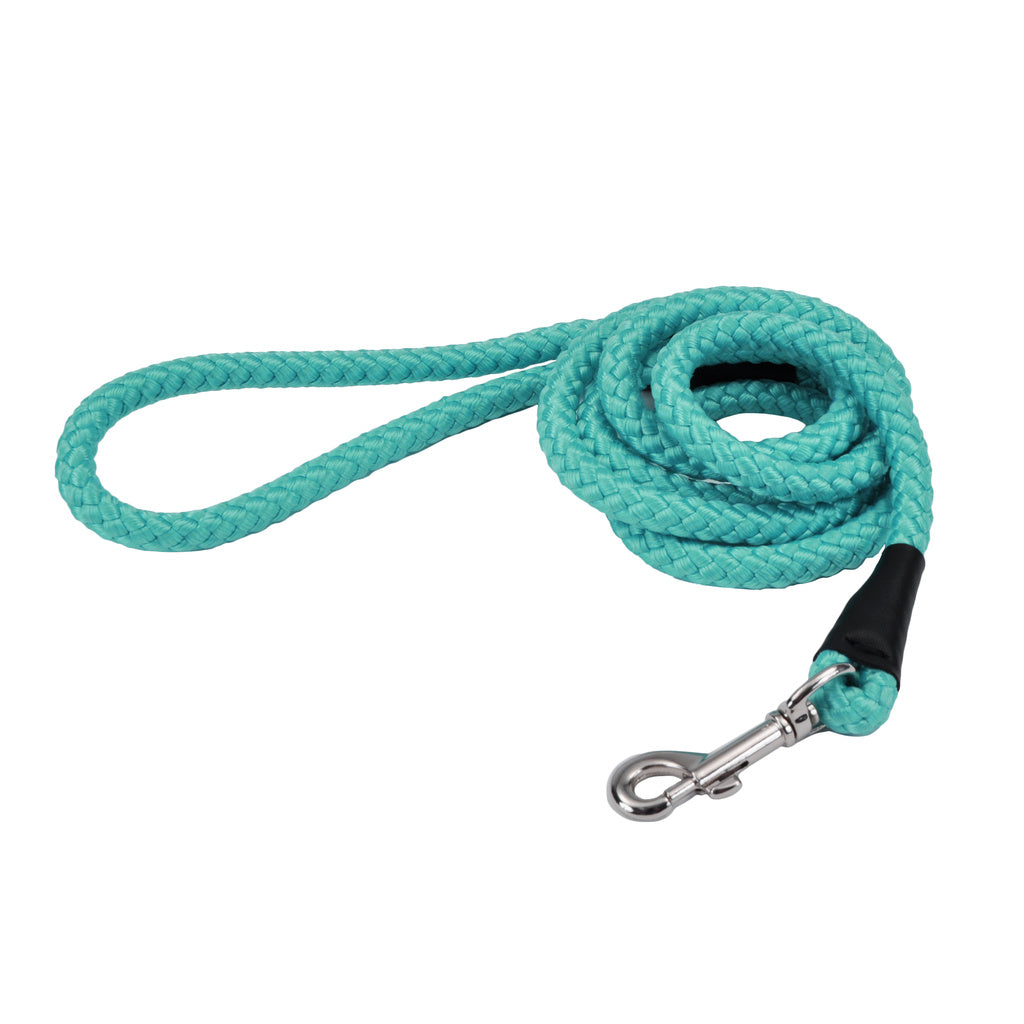 Coastal Pet Rope Dog Leash 6 ft Teal - Soft Braided Nylon Lead with Snap Swivel Hook