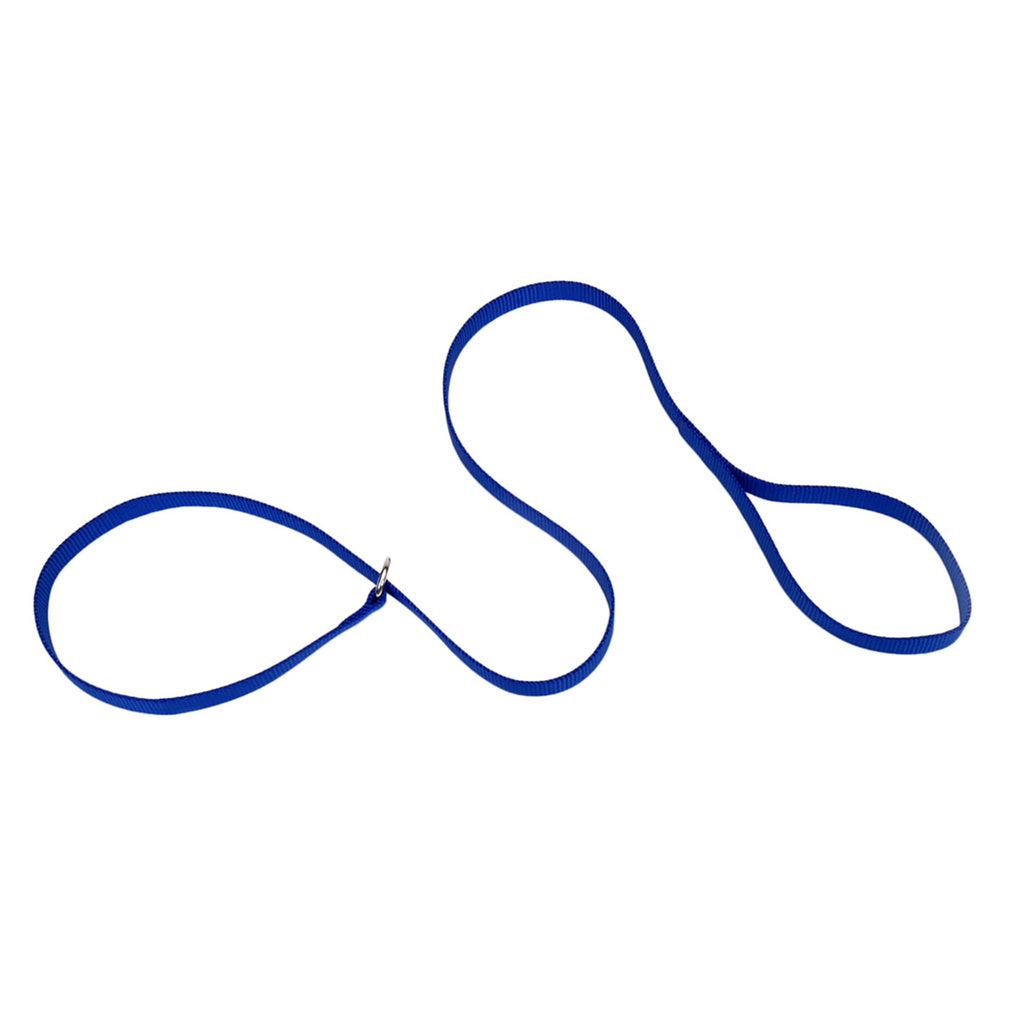 Coastal Kennel Dog Lead Blue 6' x 5/8"