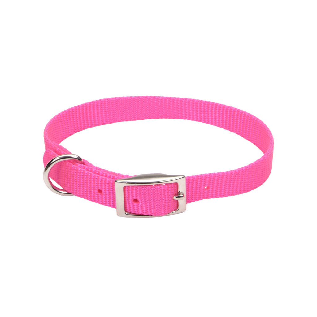 Coastal Pet Nylon Dog Collar, Neon Pink, 3/4 in x 18 in