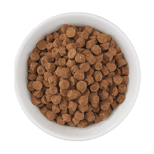Tiki Cat Born Carnivore Silver Senior Health Dry Cat Food - Chicken & Herring (2.8 lb)