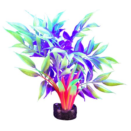 Marina iGlo Plant (GPP-0918)
