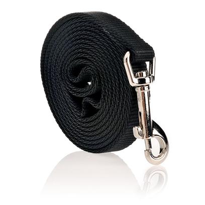 Coastal Pet Single-Ply Nylon Dog Leash, 1 inch x 4 ft, Red