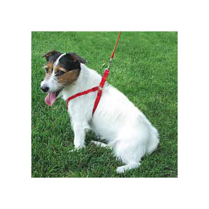 Coastal Pet Comfort Wrap Adjustable Dog Harness Red, Medium (20-30")