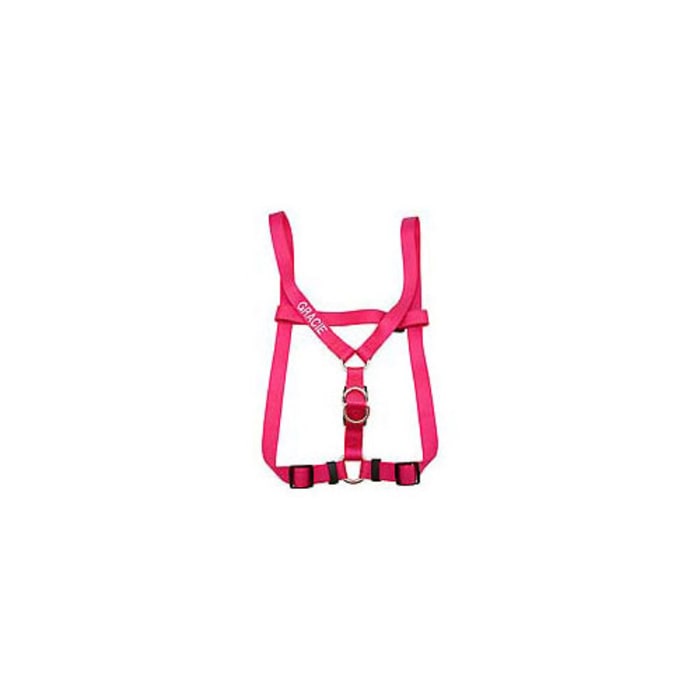 Coastal Comfort Wrap Adjustable Dog Harness - Pink Flamingo - 16-24 inch
