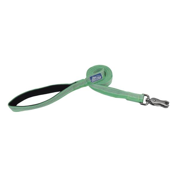 Coastal K9 Explorer Reflective Dog Leash - 1 inch x 6 ft - Meadow