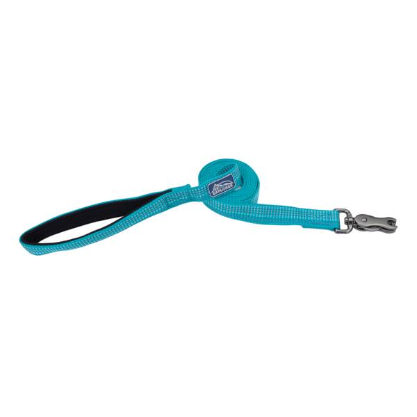 Coastal Pet K9 Explorer Brights Reflective Dog Leash, Ocean, 1" x 6'