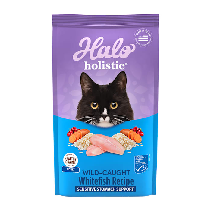 Halo Holistic Sensitive Stomach Dry Cat Food - Whitefish & Salmon - 6 lb Bag
