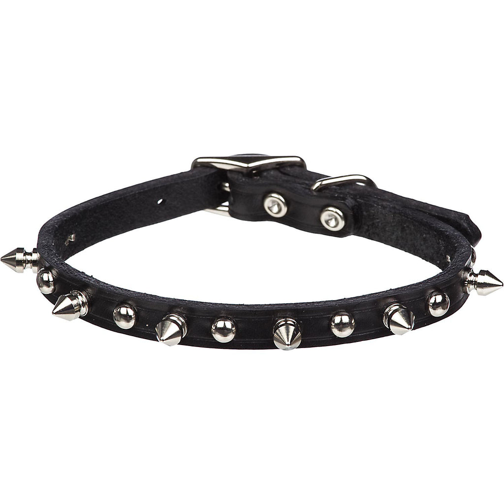 Petco Leather 1" Dog Collar in Black with Metal Spikes (1...