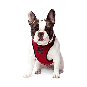 Canada Pooch Everything No Pull Harness - Large, Extra Large