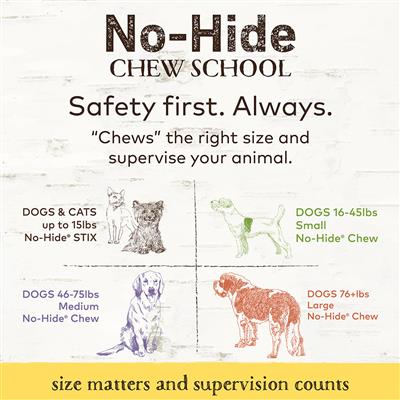 Earth Animal No Hide Beef Stix Dog Chews - Rawhide Free, Long Lasting, Natural Treat