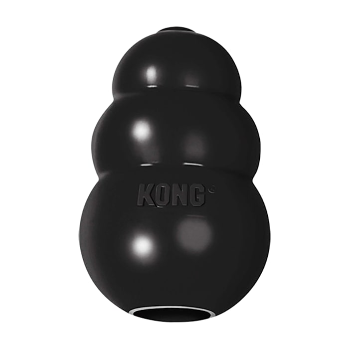 Kong Extreme Dog Toy - Small, Black, Durable Rubber Chew Toy