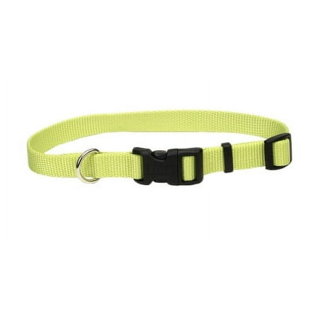Coastal Adjustable Dog Collar - Lime - 5/8 inch x 10-14 inch