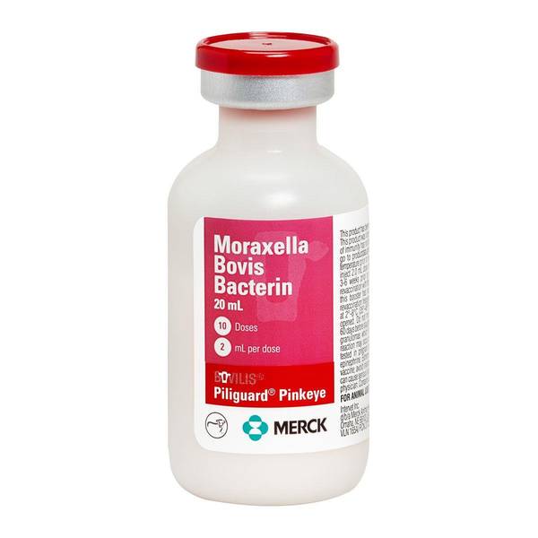 Merck Animal Health Piliguard Pinkeye 1 Trivalent 10DS