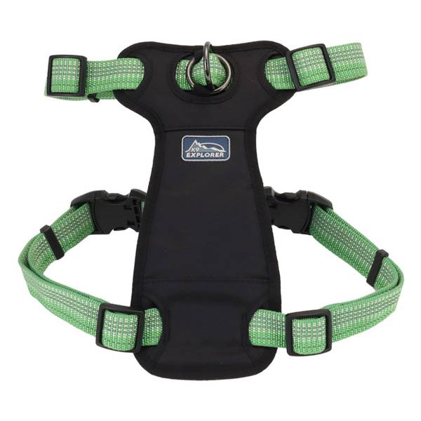 K9 Explorer Brights Reflective Front-Connect Dog Harness, Meadow, Small, 16-24"