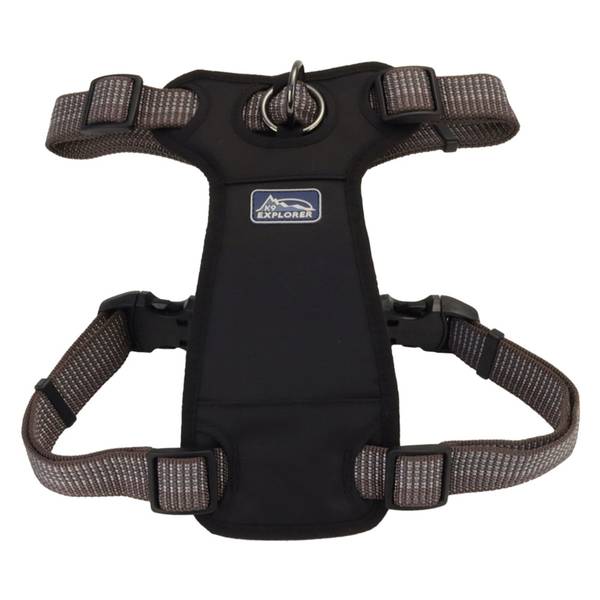 Coastal Pet 1" x 20"-30" K9 Explorer Brights Reflective F...
