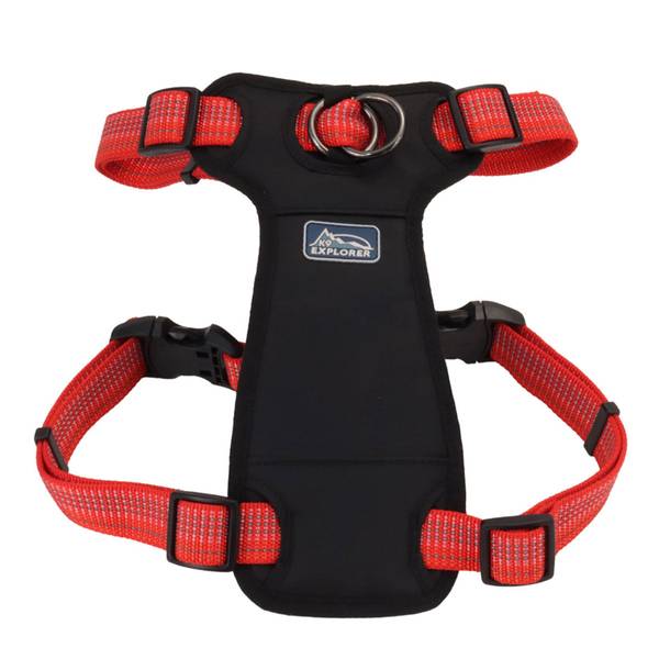 Coastal Pet 1" x 26"-38" K9 Explorer Brights Reflective F...