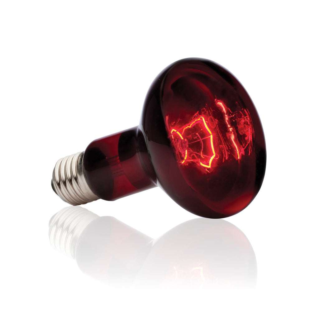 Exo Terra Heat Glo Infrared Heat Lamp - 100 Watts