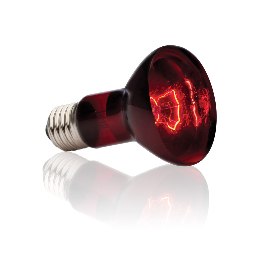 Exo Terra Infrared Basking Spot Lamp - 50W - Reptile Heat Bulb - PT2141 - 015561221412