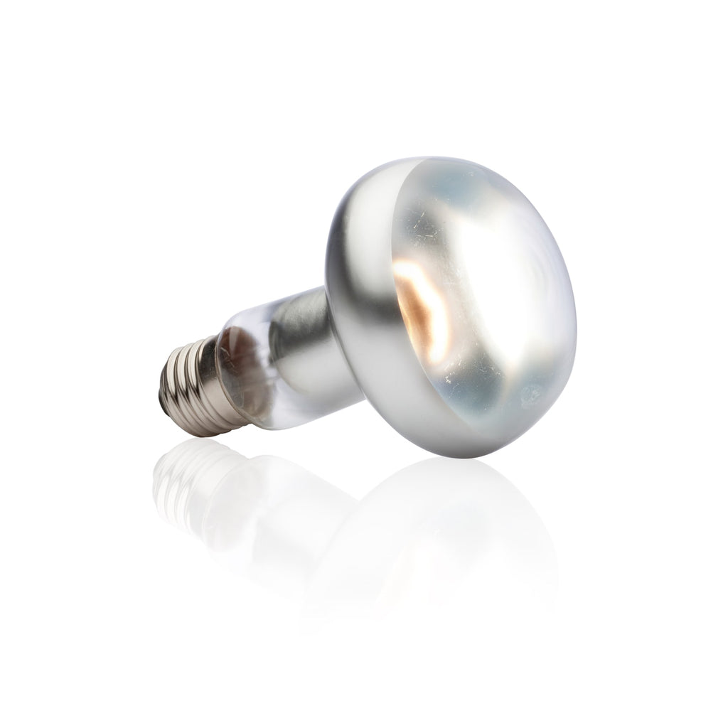 Exo Terra Intense Basking Spot Lamp - 100 Watt - Reptile Heat Bulb