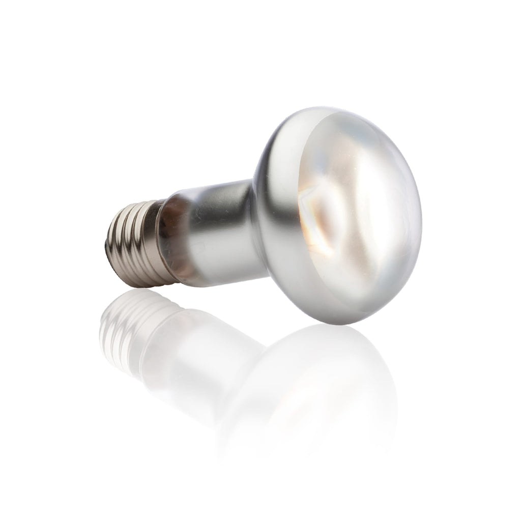 Exo Terra Intense Basking Spot Lamp - 75W - Reptile Heat Bulb