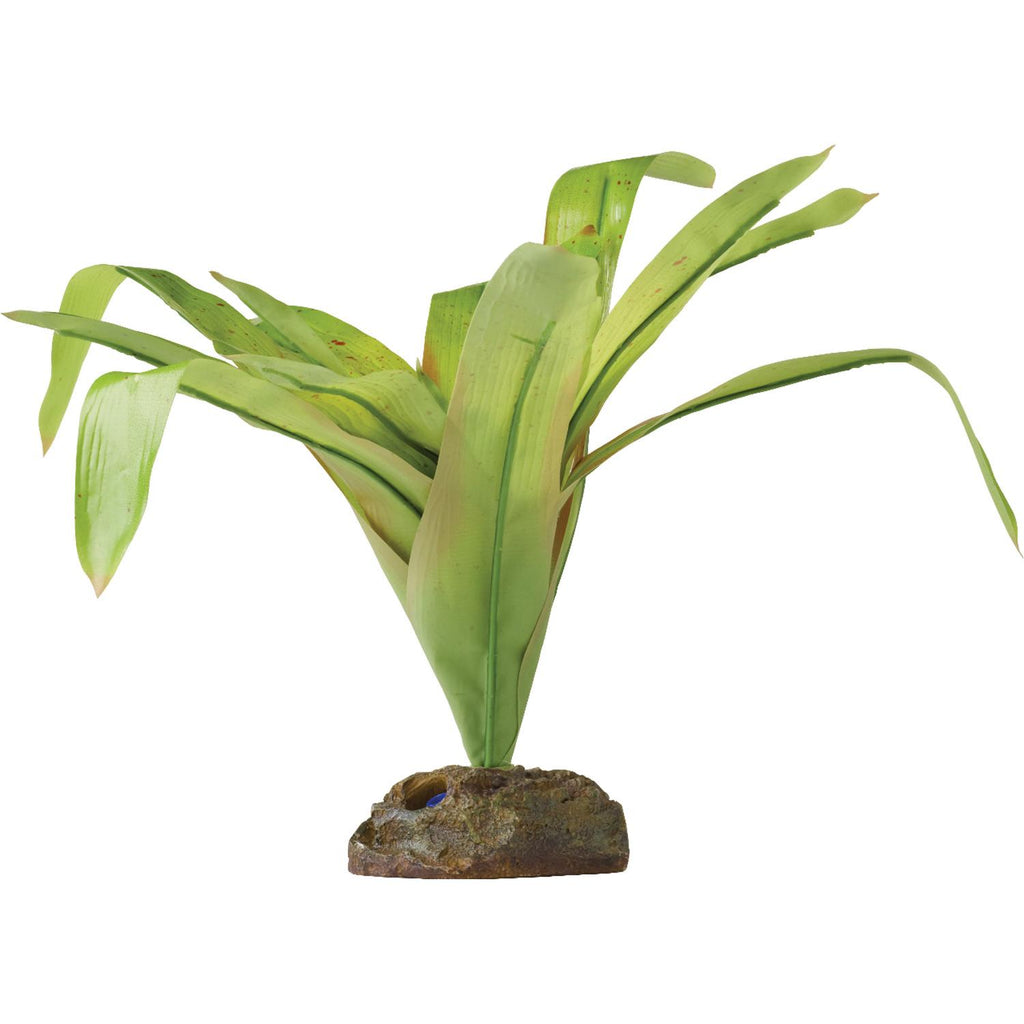 Exo Terra Small Bromelia - Realistic Terrarium Plant Decoration - PT2977