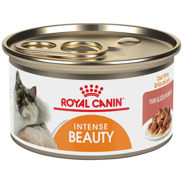 Royal Canin Intense Beauty Thin Slices in Gravy Wet Cat Food, Feline Care Nutrition, 3 oz Can