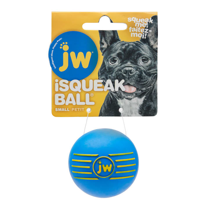 JW Pet iSqueak Ball Small Dog Toy - Rubber Bouncing Squeaky Ball (Colors Vary)